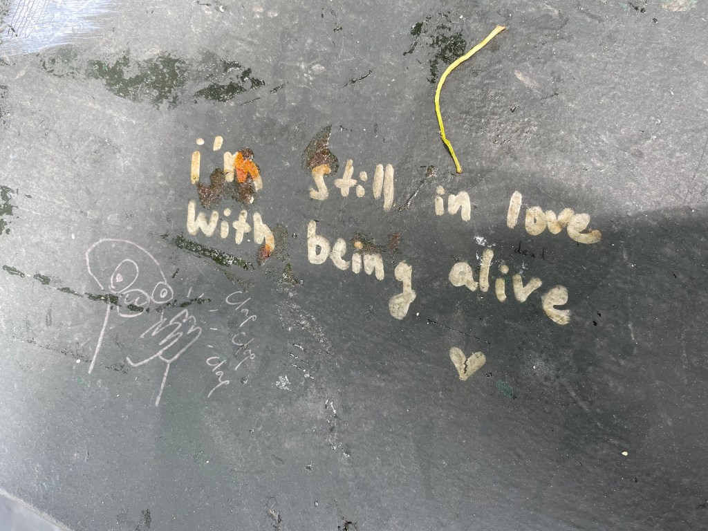 My journey with Barrett’s Esophagus (thus&nbsp;far)